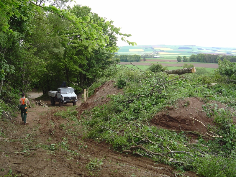 25th May 2008 014